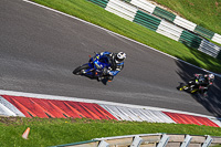 cadwell-no-limits-trackday;cadwell-park;cadwell-park-photographs;cadwell-trackday-photographs;enduro-digital-images;event-digital-images;eventdigitalimages;no-limits-trackdays;peter-wileman-photography;racing-digital-images;trackday-digital-images;trackday-photos